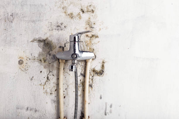 Best Mold Cleaning Services  in Hartford, WI