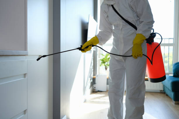 Best Office Mold Removal Services  in Hartford, WI