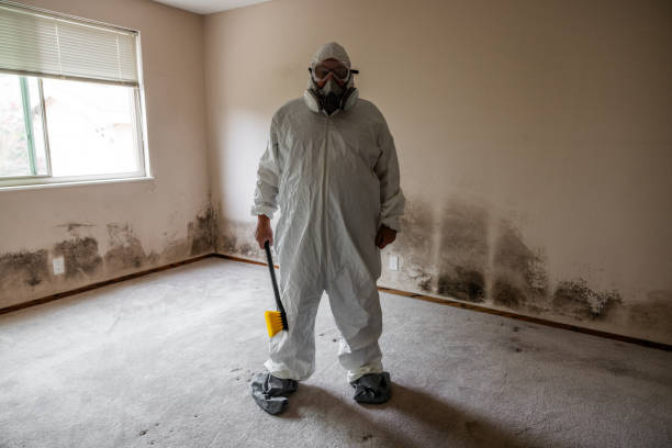 Professional Mold Removal in Hartford, WI
